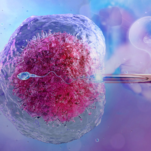 PMLH1.2_How IVF Bypasses Natural Reproduction Roadblocks