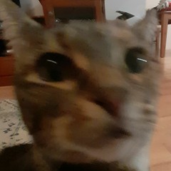 Jet Set Radio Soundtrack - Magical Girl