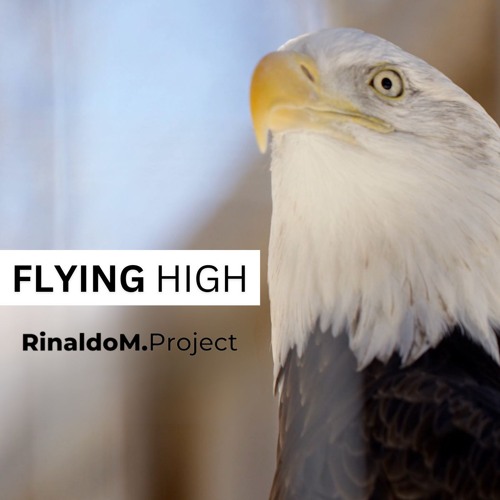 Flying High
