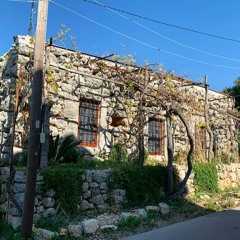 Organic House