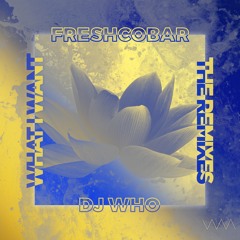 Freshcobar & DJ Who - What I Want (DJ Who Remix)