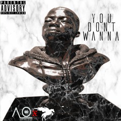 You Dont Wanna