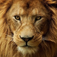 Songs to Invoke ~ Strength &  Support Change