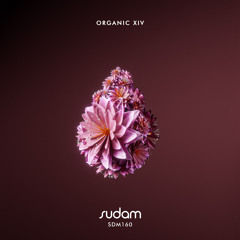 Airon - Feeling Fine Sudam Records