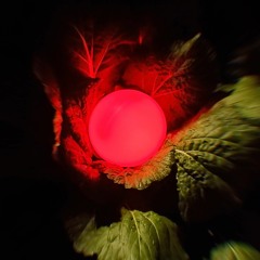 SYNTHETIC STASIS