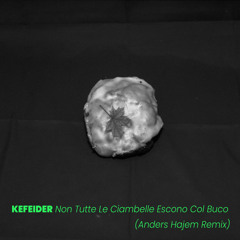 Non Tutte Le Ciambelle Escono Col Buco (Anders Hajem Remix)