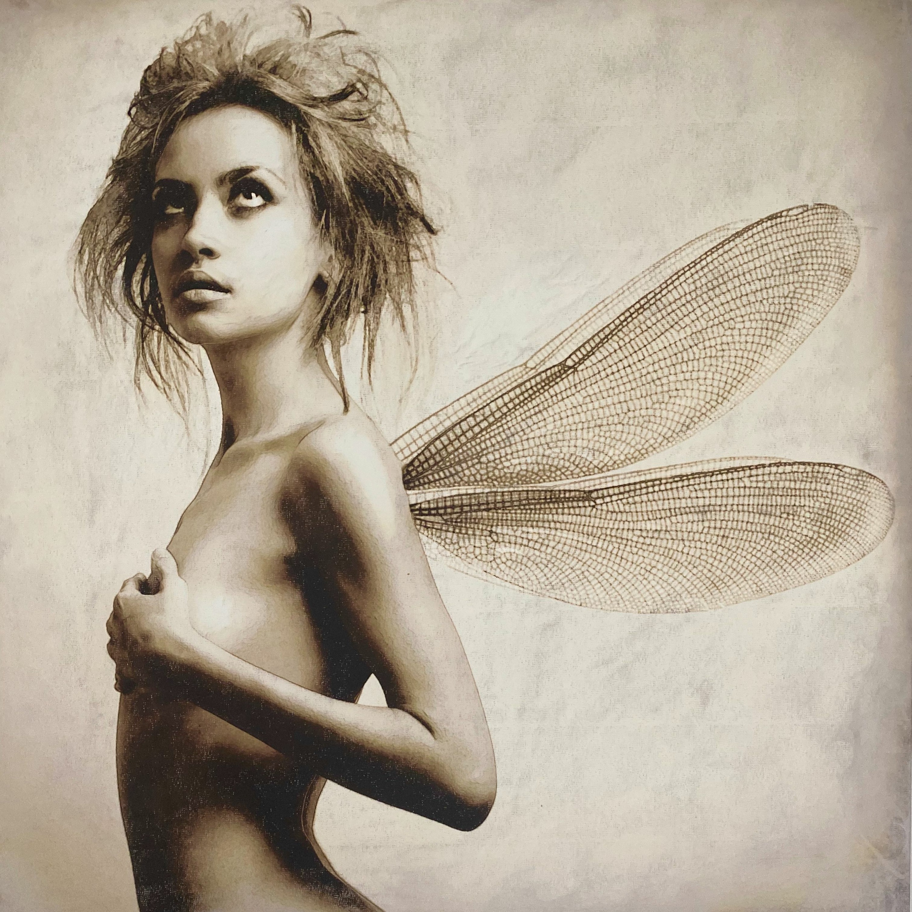 fairy.dust episode artwork
