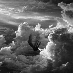 Angel roto