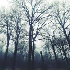 Uкрой (prod. Matt Bartkus)