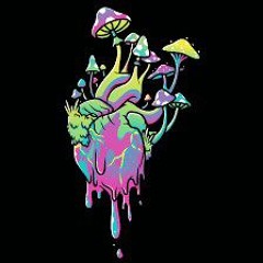 Lucid