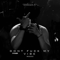 Don't fuck my vibe bitches - Ridzee