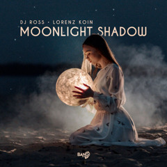 Moonlight Shadow 2024  - BSMALL X VINZ Remix FULLL