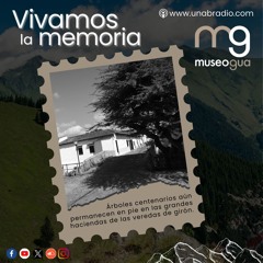 Vivamos la Memoria - Cápsula 372: Árboles centenarios en Girón.