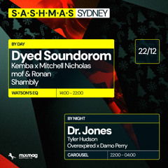 SASHMAS By Night - B2B Damo Perry