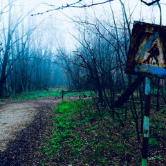 Insane - Hollow Spaces (Feat. Rephlect)