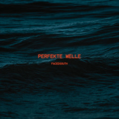 Perfekte Welle