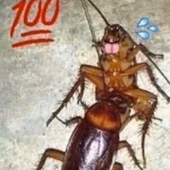 Panhandling fa Gen5 (lu.kolby, jambit) Prod. Stephen luna