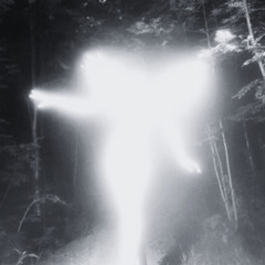 DU ÄR INTE GJORD FÖR MIG (slowed + reverb)