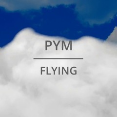 Pym - Flying