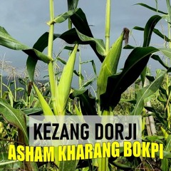 Asham Kharang Bokpi-Kezang Dorji (Prod. by K3Nbeatz)
