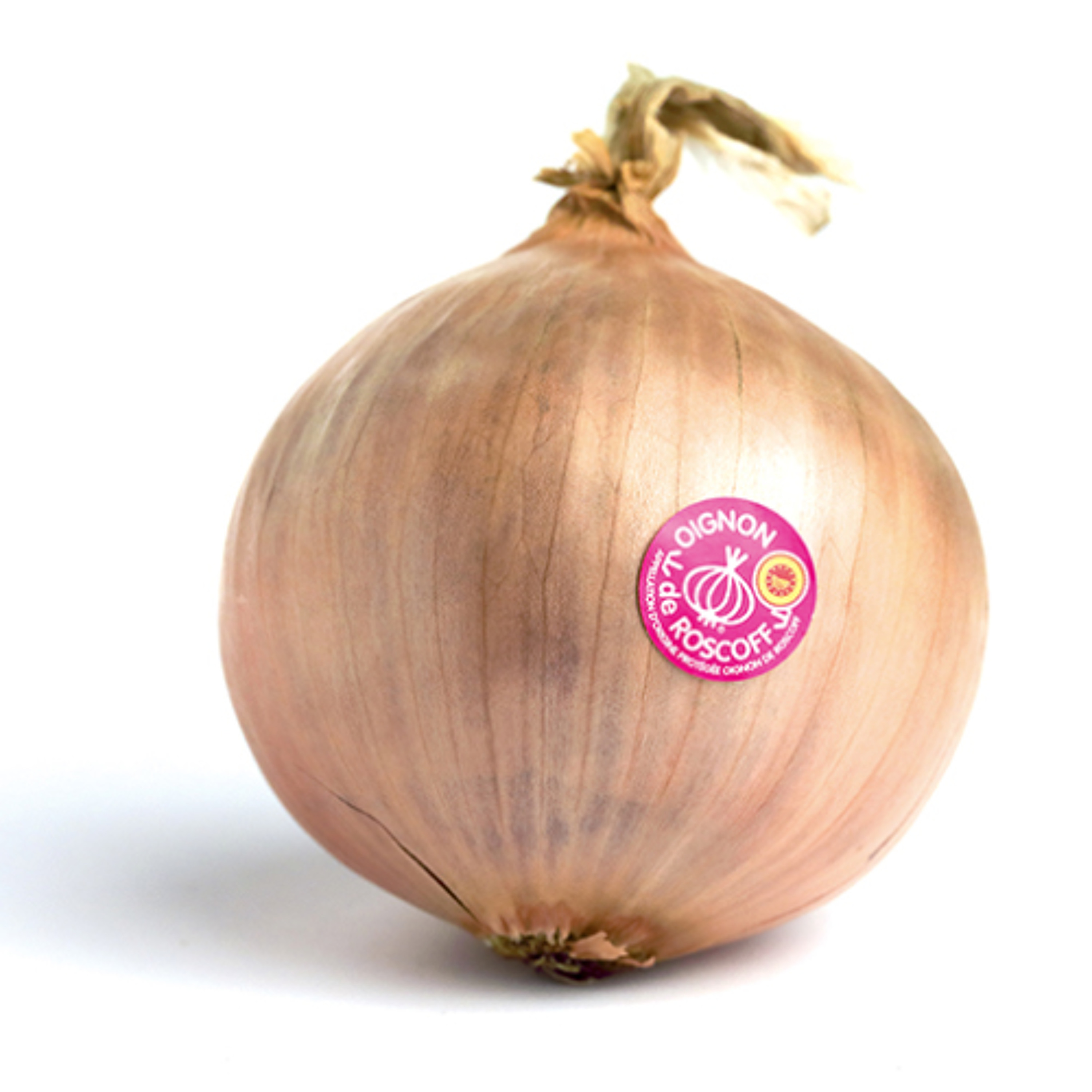 [Café Campus] Planète Saveurs- #15 L'oignon de roscoff episode artwork