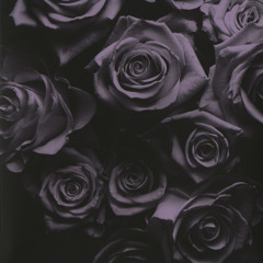 Soliloquy