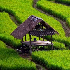 Daddy Freddy We Are The Champions Remix