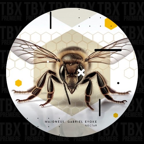 Premiere: Majoness, Gabriel Evoke - Nectar [Namata]