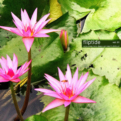 Lotus (Sunset Chillout Mix)