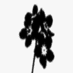 ✩same𖤐life𖤐(flip)✩