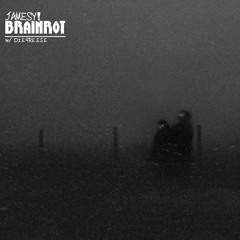 brainrot (w/ die4reese) [prod. by saint mike & fckjamesy]