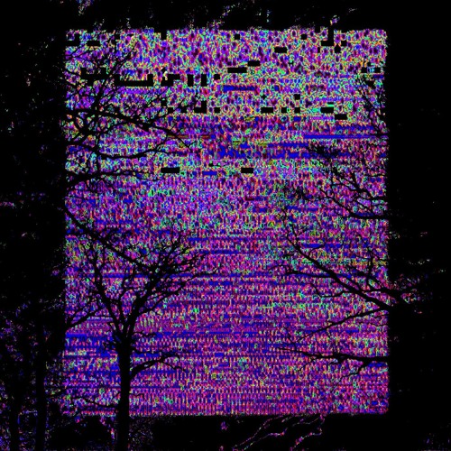 Sorry about my face - arrival