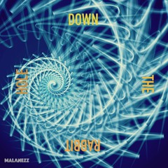 Down The Rabbit Hole