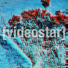 04 - Videostar