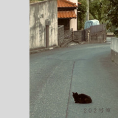 傘と君と僕と
