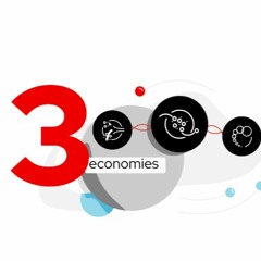 The Three Economies
