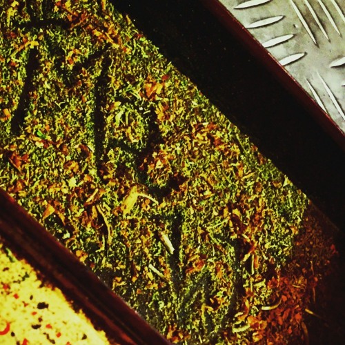 You can't tell me 2.mp3