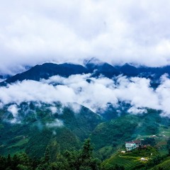 Vina lon ton not đi bộ