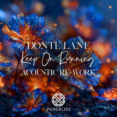 Donte Lane - Keep On Running (Acoustic Rework)