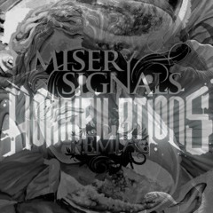 Misery Signals- The Fall (Horripilations Remix).mp3
