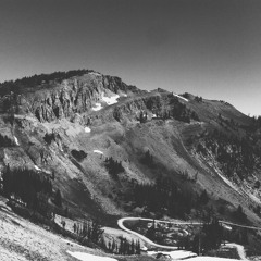 Wolf (First Aid Kit)