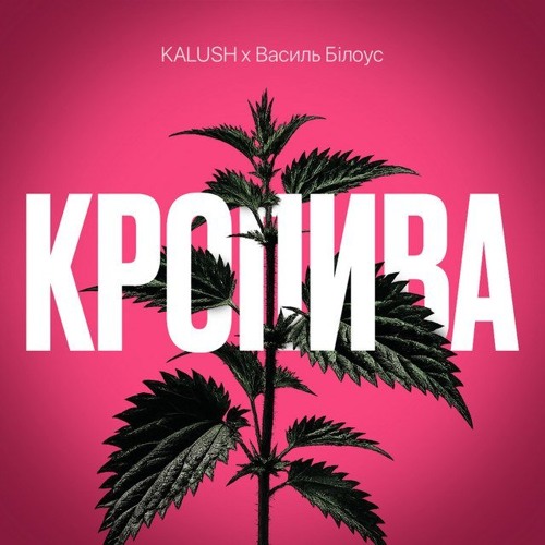 Кропива