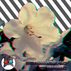 rhododendrons_