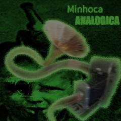Minhoca Analógica