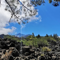 Santiago del Teide, Santa Cruz de Tenerife, Spain