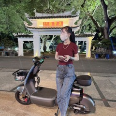 NST -2025-em nắc anh phê em nhắc đến anh tặng: su tiger