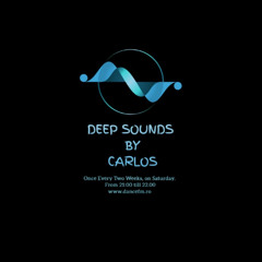 Deep Sounds on Dance FM by Carlos 28.12.2024 Afro Melodic House, Afro House