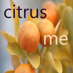 Citrus Me