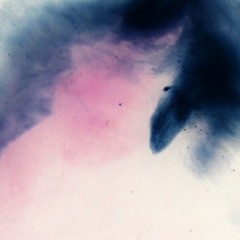 MNMT Premiere: Shoal – Taniwha