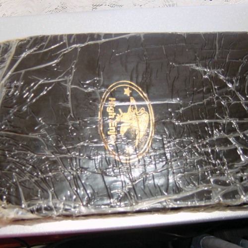 ASCiiDiTY Jungle Free Party - Feb 2014